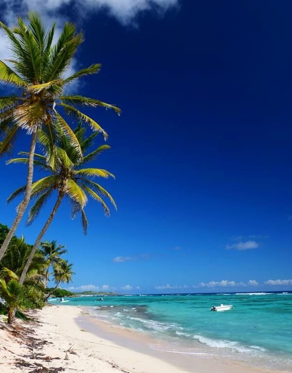 la-desirade-guadeloupe-99