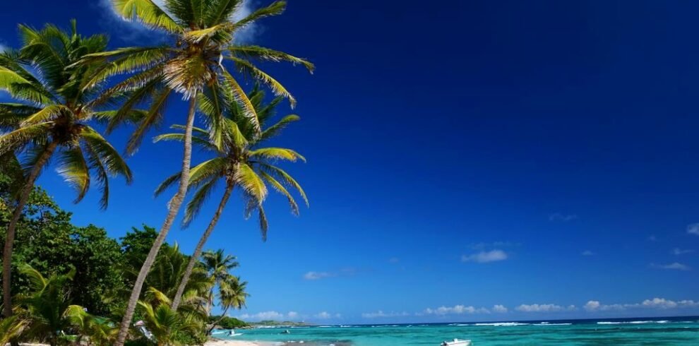 la-desirade-guadeloupe-99